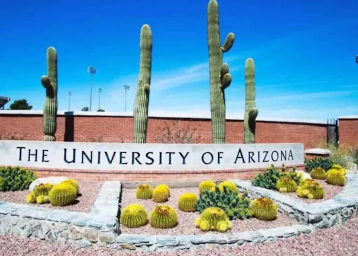 Holiday home 3 Blocks From U Of A And 4th Ave, Cozy, 1 Bedroom 1 Ba